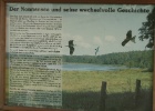 VWG vogelreis Oost Duitsland mei 2010 058
